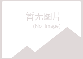 碌曲县平淡能源有限公司